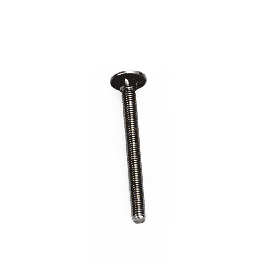 Gate hinge screw stainless | BBG